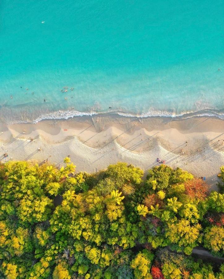 Somptueux Duplex Sur La Route Des Plages Сент-Анн Экстерьер фото